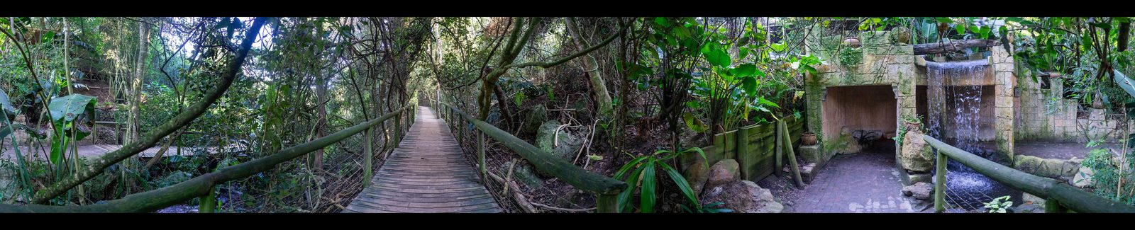 Birds of Eden &mdash; the world&rsquo;s largest dome