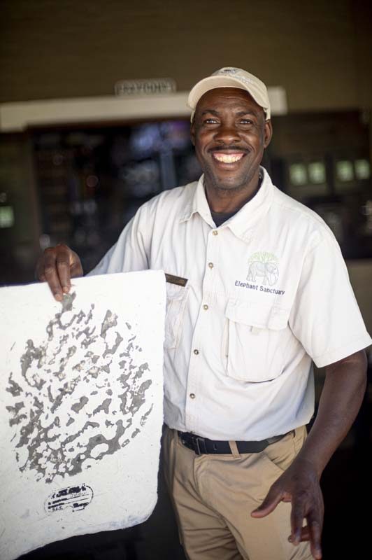Safari &amp; Wildlife