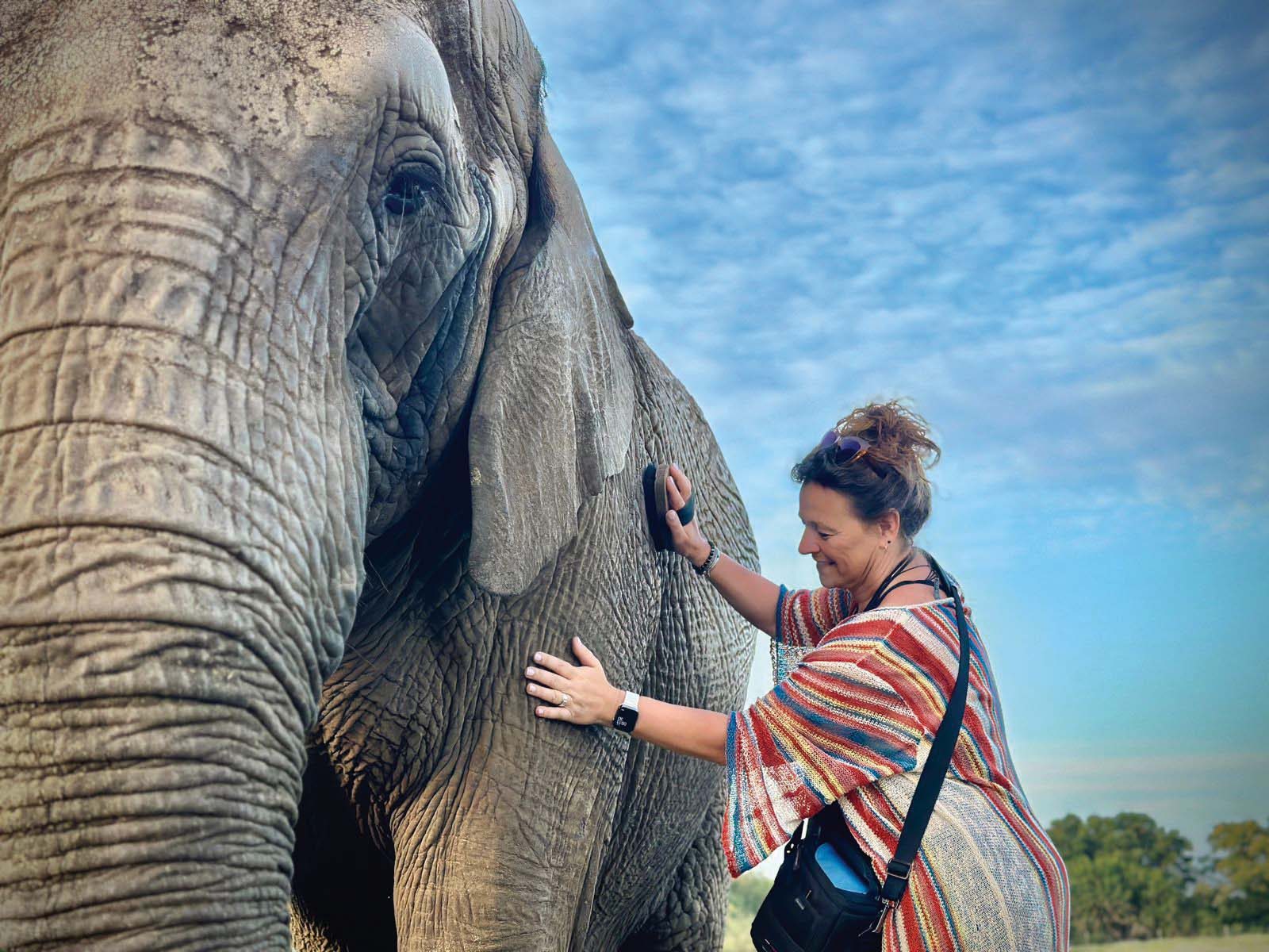 Walk trunk-in-hand at the Elephant Sanctuary