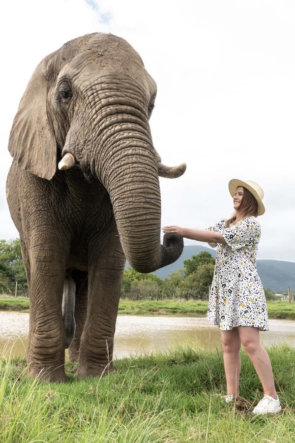 Safari &amp; Wildlife